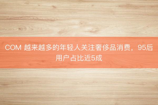 COM 越来越多的年轻人关注奢侈品消费，95后用户占比近5成