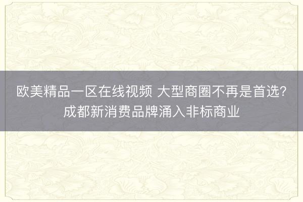 欧美精品一区在线视频 大型商圈不再是首选？成都新消费品牌涌入非标商业