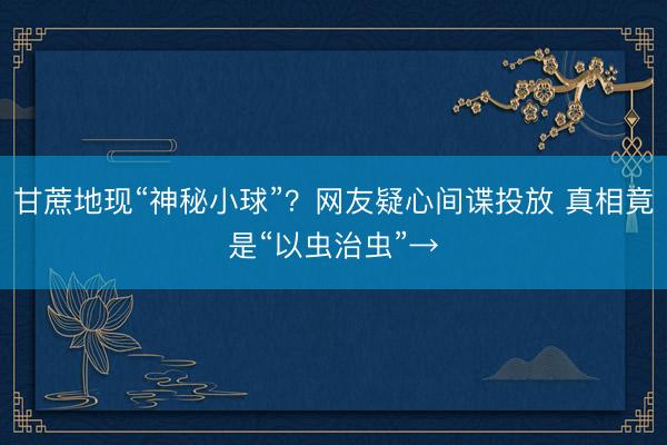 甘蔗地现“神秘小球”？网友疑心间谍投放 真相竟是“以虫治虫”→