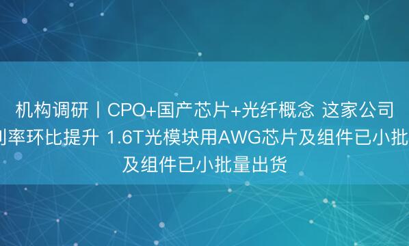 机构调研丨CPO+国产芯片+光纤概念 这家公司Q1毛利率环比提升 1.6T光模块用AWG芯片及组件已小批量出货