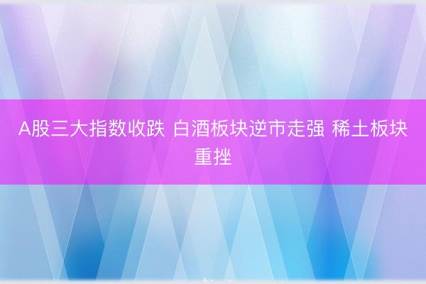 A股三大指数收跌 白酒板块逆市走强 稀土板块重挫