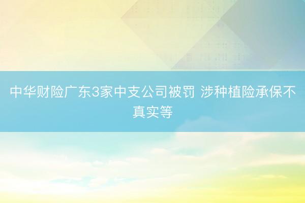 中华财险广东3家中支公司被罚 涉种植险承保不真实等
