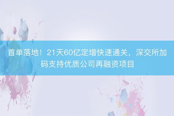 首单落地！21天60亿定增快速通关，深交所加码支持优质公司再融资项目