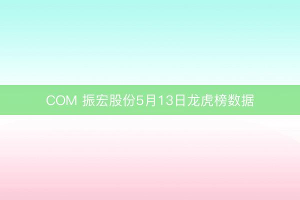 COM 振宏股份5月13日龙虎榜数据