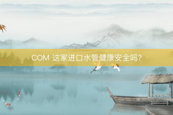 COM 这家进口水管健康安全吗？