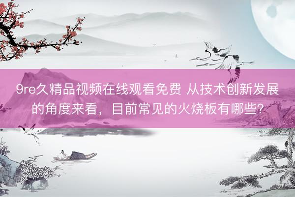 9re久精品视频在线观看免费 从技术创新发展的角度来看，目前常见的火烧板有哪些？