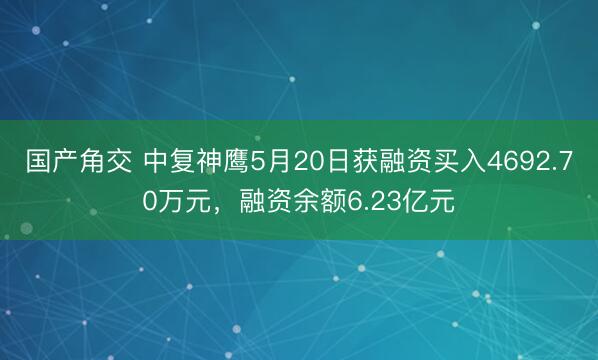 国产角交 中复神鹰5月20日获融资买入4692.70万元，融资余额6.23亿元