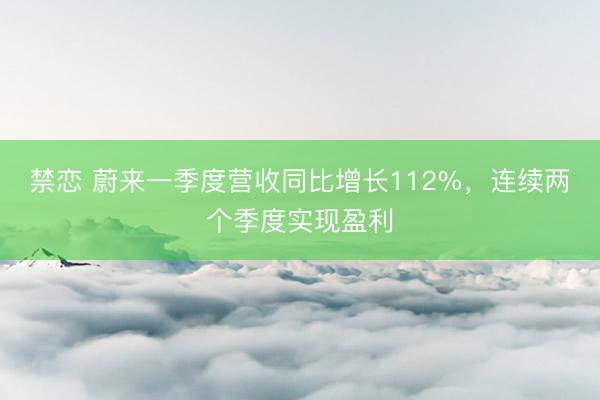 禁恋 蔚来一季度营收同比增长112%，连续两个季度实现盈利