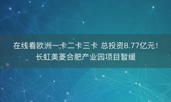在线看欧洲一卡二卡三卡 总投资8.77亿元！长虹美菱合肥产业园项目暂缓
