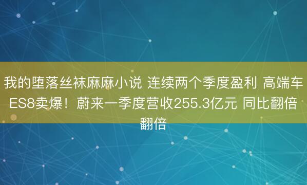 我的堕落丝袜麻麻小说 连续两个季度盈利 高端车ES8卖爆！蔚来一季度营收255.3亿元 同比翻倍