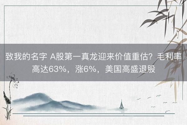致我的名字 A股第一真龙迎来价值重估？毛利率高达63%，涨6%，美国高盛退股