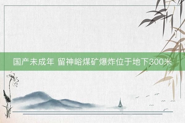 国产未成年 留神峪煤矿爆炸位于地下300米