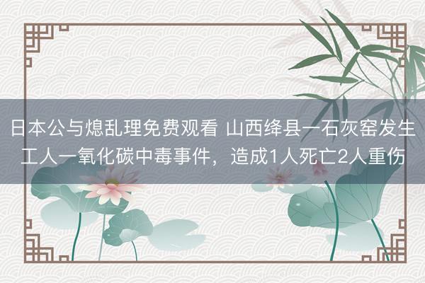 日本公与熄乱理免费观看 山西绛县一石灰窑发生工人一氧化碳中毒事件，造成1人死亡2人重伤