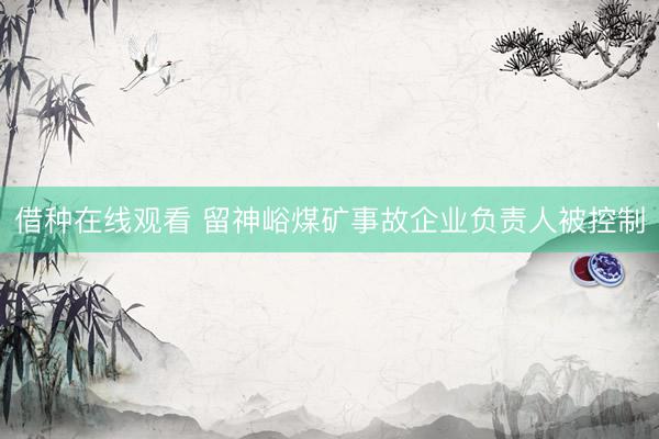 借种在线观看 留神峪煤矿事故企业负责人被控制