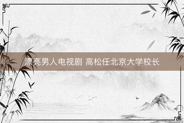 漂亮男人电视剧 高松任北京大学校长