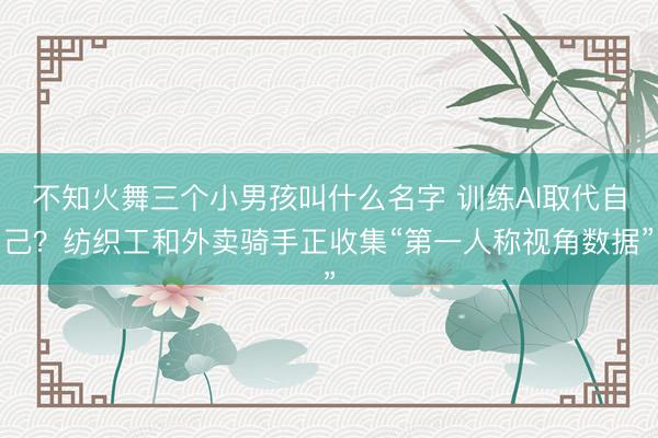 不知火舞三个小男孩叫什么名字 训练AI取代自己？纺织工和外卖骑手正收集“第一人称视角数据”