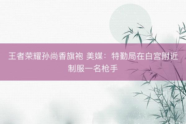 王者荣耀孙尚香旗袍 美媒：特勤局在白宫附近制服一名枪手
