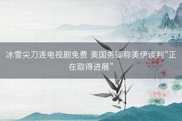 冰雪尖刀连电视剧免费 美国务卿称美伊谈判“正在取得进展”