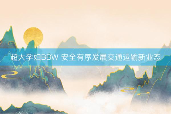 超大孕妇BBW 安全有序发展交通运输新业态