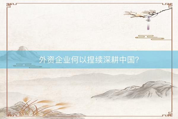 外资企业何以捏续深耕中国？