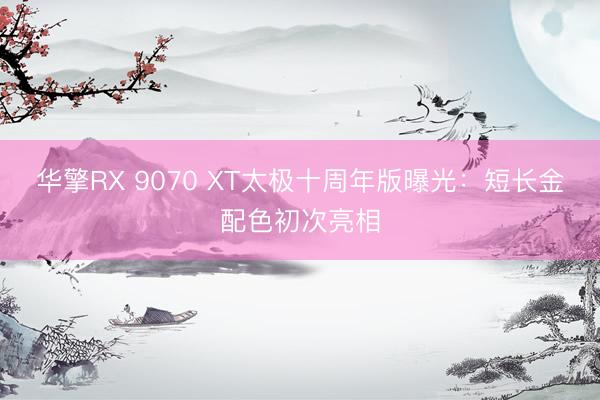 华擎RX 9070 XT太极十周年版曝光：短长金配色初次亮相