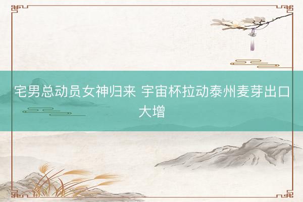 宅男总动员女神归来 宇宙杯拉动泰州麦芽出口大增