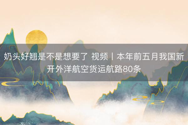 奶头好翘是不是想要了 视频丨本年前五月我国新开外洋航空货运航路80条
