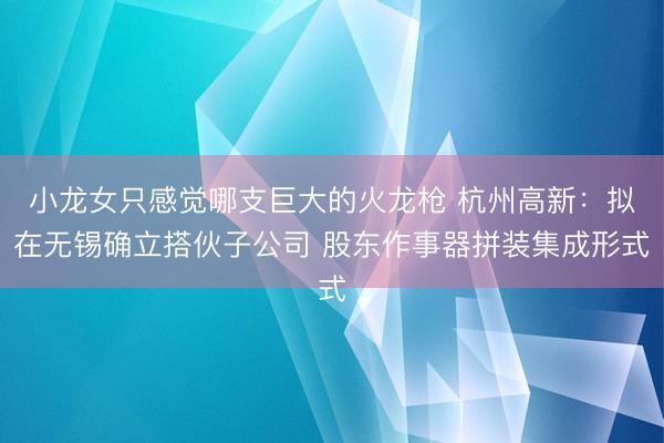 小龙女只感觉哪支巨大的火龙枪 杭州高新：拟在无锡确立搭伙子公司 股东作事器拼装集成形式