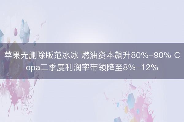 苹果无删除版范冰冰 燃油资本飙升80%-90% Copa二季度利润率带领降至8%-12%
