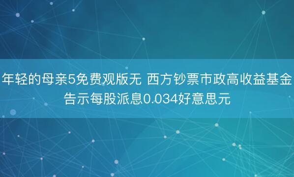 年轻的母亲5免费观版无 西方钞票市政高收益基金告示每股派息0.034好意思元
