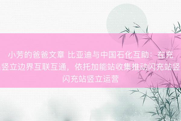小芳的爸爸文章 比亚迪与中国石化互助：在充电收集竖立边界互联互通，依托加能站收集推动闪充站竖立运营