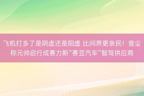 飞机打多了是阴虚还是阳虚 比问界更亲民！音尘称元帅启行成赛力斯“赛豆汽车”智驾供应商