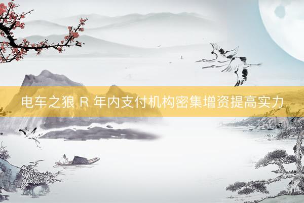 电车之狼 R 年内支付机构密集增资提高实力