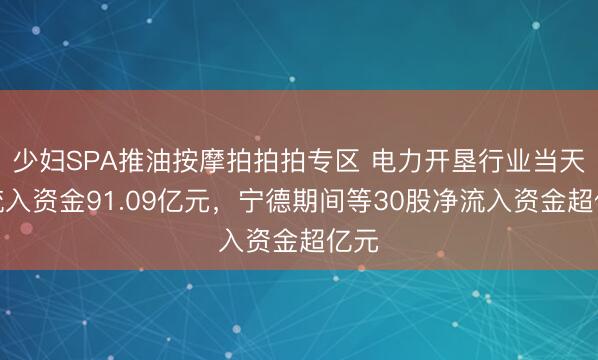 少妇SPA推油按摩拍拍拍专区 电力开垦行业当天净流入资金91.09亿元，宁德期间等30股净流入资金超亿元