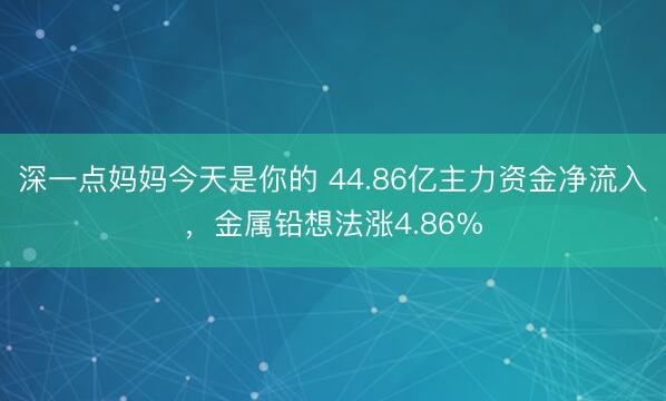 深一点妈妈今天是你的 44.86亿主力资金净流入，金属铅想法涨4.86%
