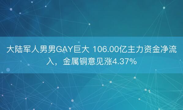 大陆军人男男GAY巨大 106.00亿主力资金净流入，金属铜意见涨4.37%