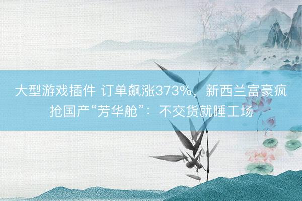 大型游戏插件 订单飙涨373%，新西兰富豪疯抢国产“芳华舱”：不交货就睡工场
