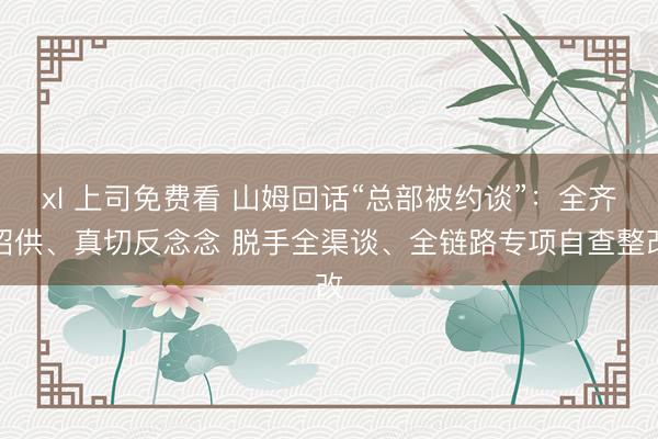 xl 上司免费看 山姆回话“总部被约谈”：全齐招供、真切反念念 脱手全渠谈、全链路专项自查整改