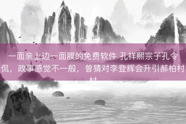 一面亲上边一面膜的免费软件 孔祥熙宗子孔令侃，政事感觉不一般，曾猜对李登辉会升引郝柏村