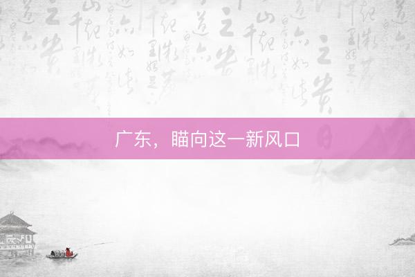 广东，瞄向这一新风口