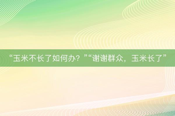 “玉米不长了如何办？”“谢谢群众，玉米长了”