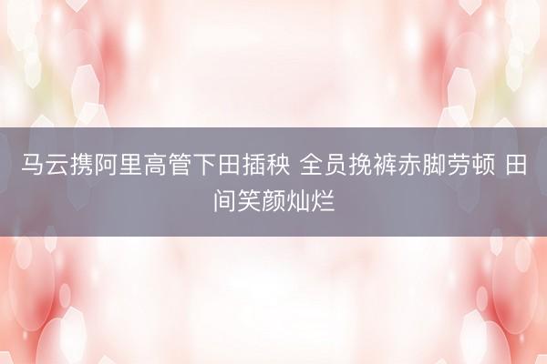马云携阿里高管下田插秧 全员挽裤赤脚劳顿 田间笑颜灿烂